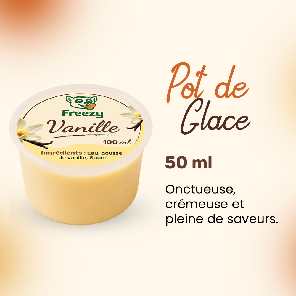 Pot de glace Freezy